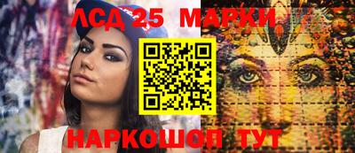шишки Заволжье
