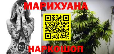 шишки Заволжье