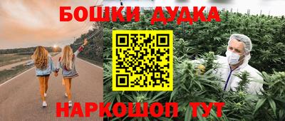 шишки Заволжье