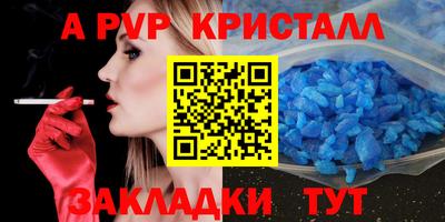 шишки Заволжье