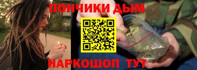 шишки Заволжье